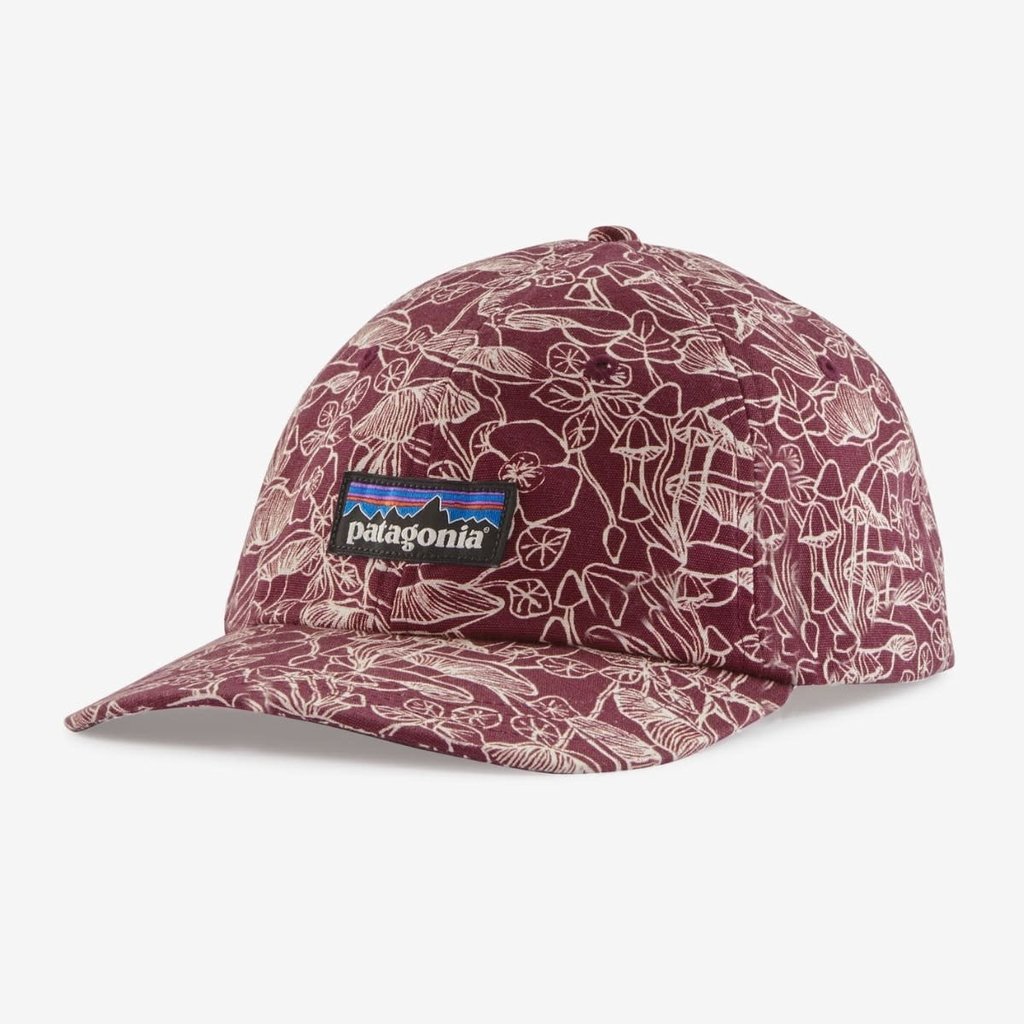 Patagonia Patagonia P-6 Label Trad Cap