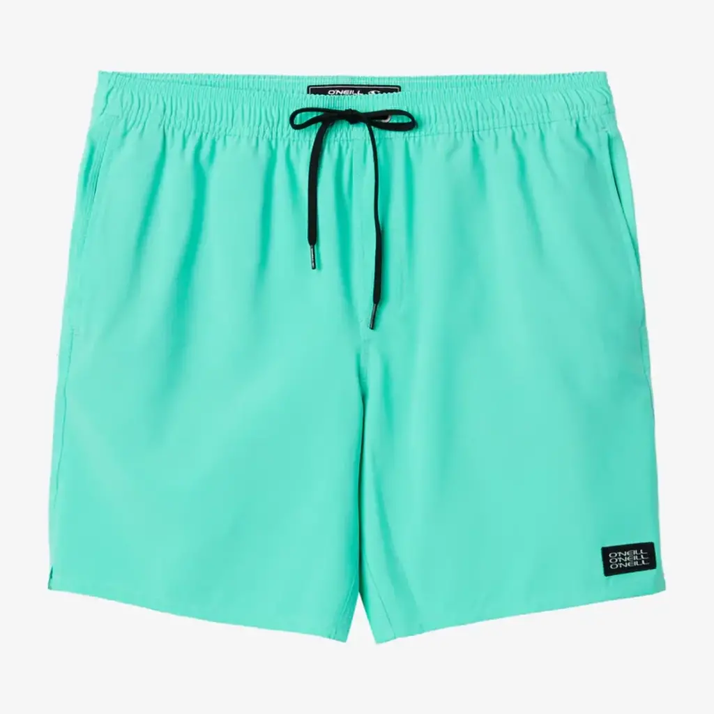 O'Neill O'Neill Lennox Hermosa Solid Volley 17" Boardshorts Aqua