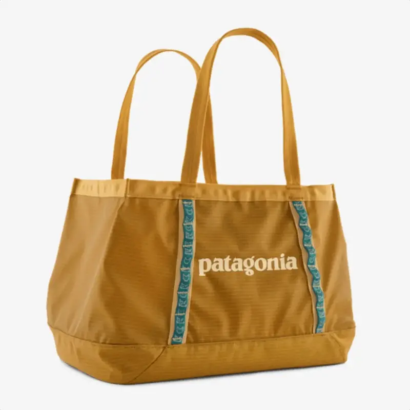 Patagonia Black Hole Tote 25L