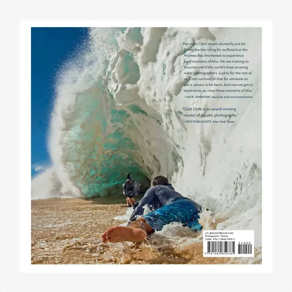 Penguin Random House LLC Clark Little The Art of Waves