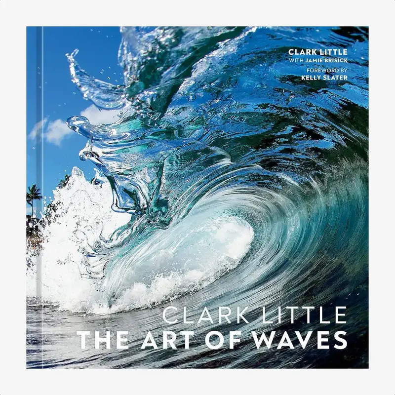 Penguin Random House LLC Clark Little The Art of Waves