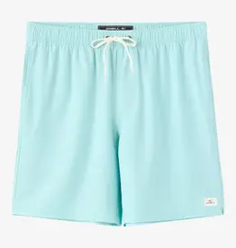 O'Neill Lennox Hermosa Solid Volley 17" Swim Trunks Canal Blue