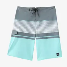 O'Neill O'Neill Lennox Stripe 21" Boardshorts Gargoyle