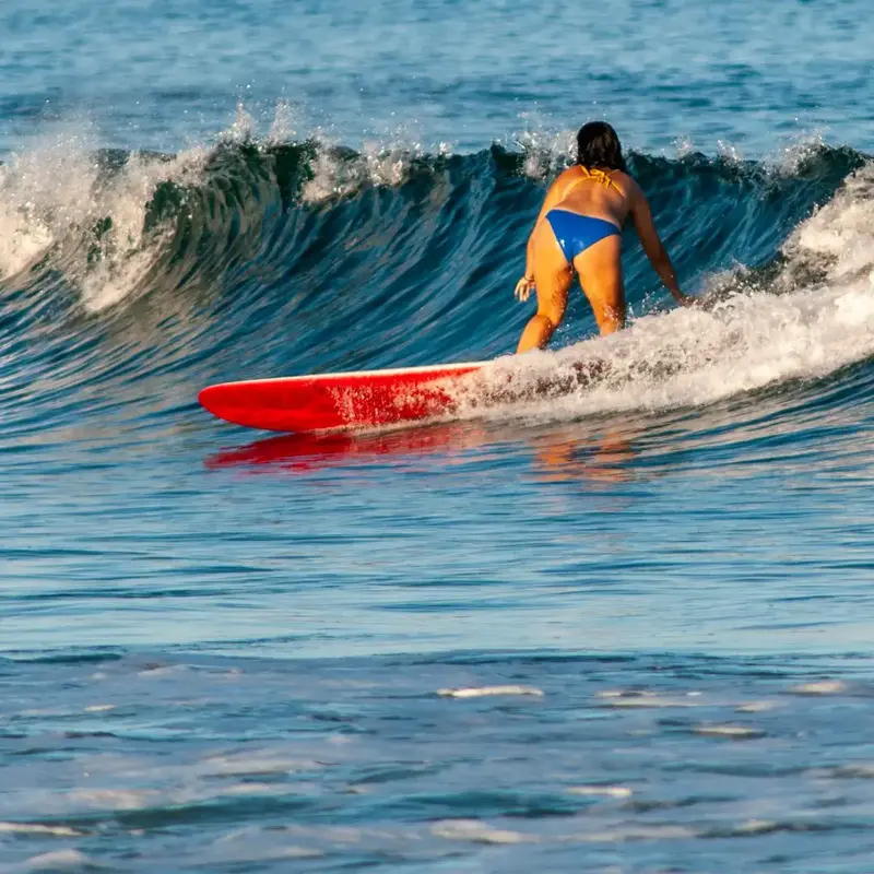 Surfari Women's Surf Night (18+) | Good Harbor Beach | Surfari