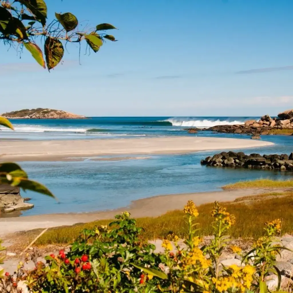 Surfari Women's Surf Night (18+) | Good Harbor Beach | Surfari