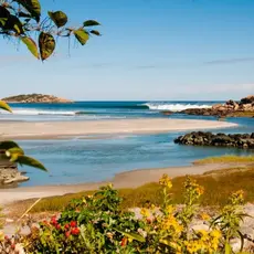 Surfari Women's Surf Night (18+) | Good Harbor Beach | Surfari