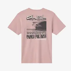 O'Neill O'Neill Bomb It Classic Tee Deauville Mauve