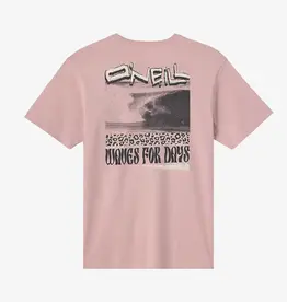 O'Neill Bomb It Classic Tee Deauville Mauve