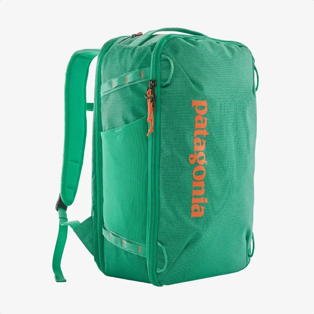 Patagonia Patagonia Black Hole Mini MLC 30L