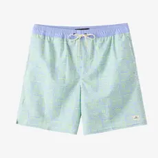 O'Neill O'Neill Hermosa Elastic Waist Lined 17" Swim Trunks Blue Jelly