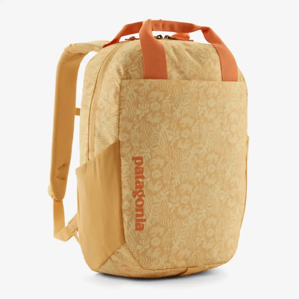 Patagonia Patagonia Atom Tote Pack 20L