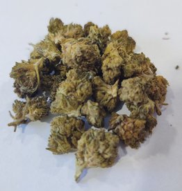 CBD Hemp Direct Paradise OG Small Buds 24.0% CBD