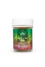 URB Urb Delta 9 THC 250MG Gummies- Prickly Pear Watermelon