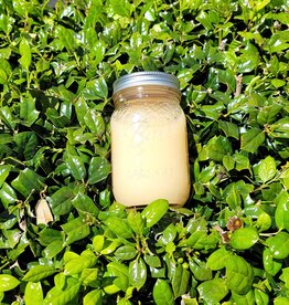 Carrie Criswell Gold Sea Moss Gel 16oz Jar