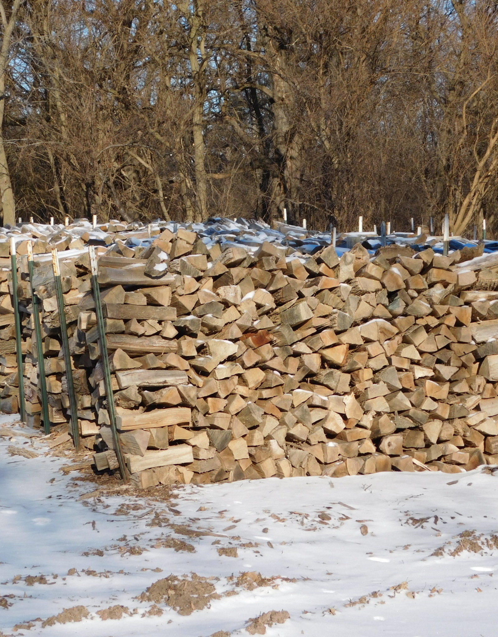 Mixed Hardwood Firewood Face Cord