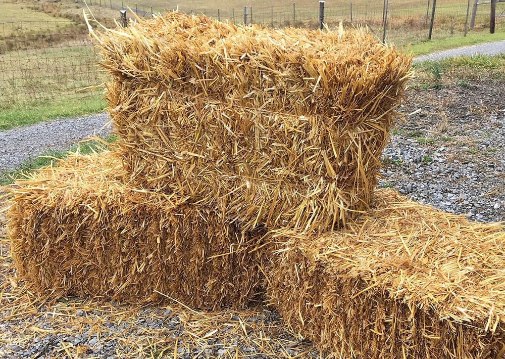 Straw Bale Beans Farm Inc
