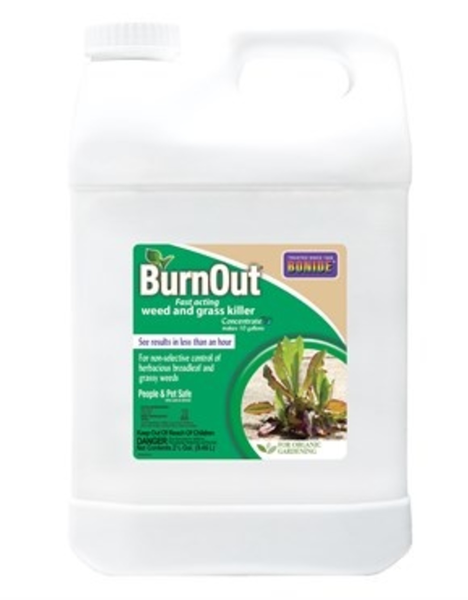 Bonide Burnout Weed & Grass Killer Concentrate