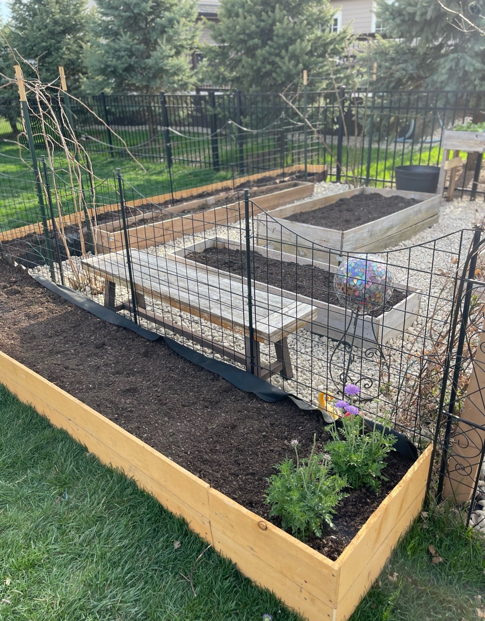 Raised Bed Mix BETA Beans Farm, Inc