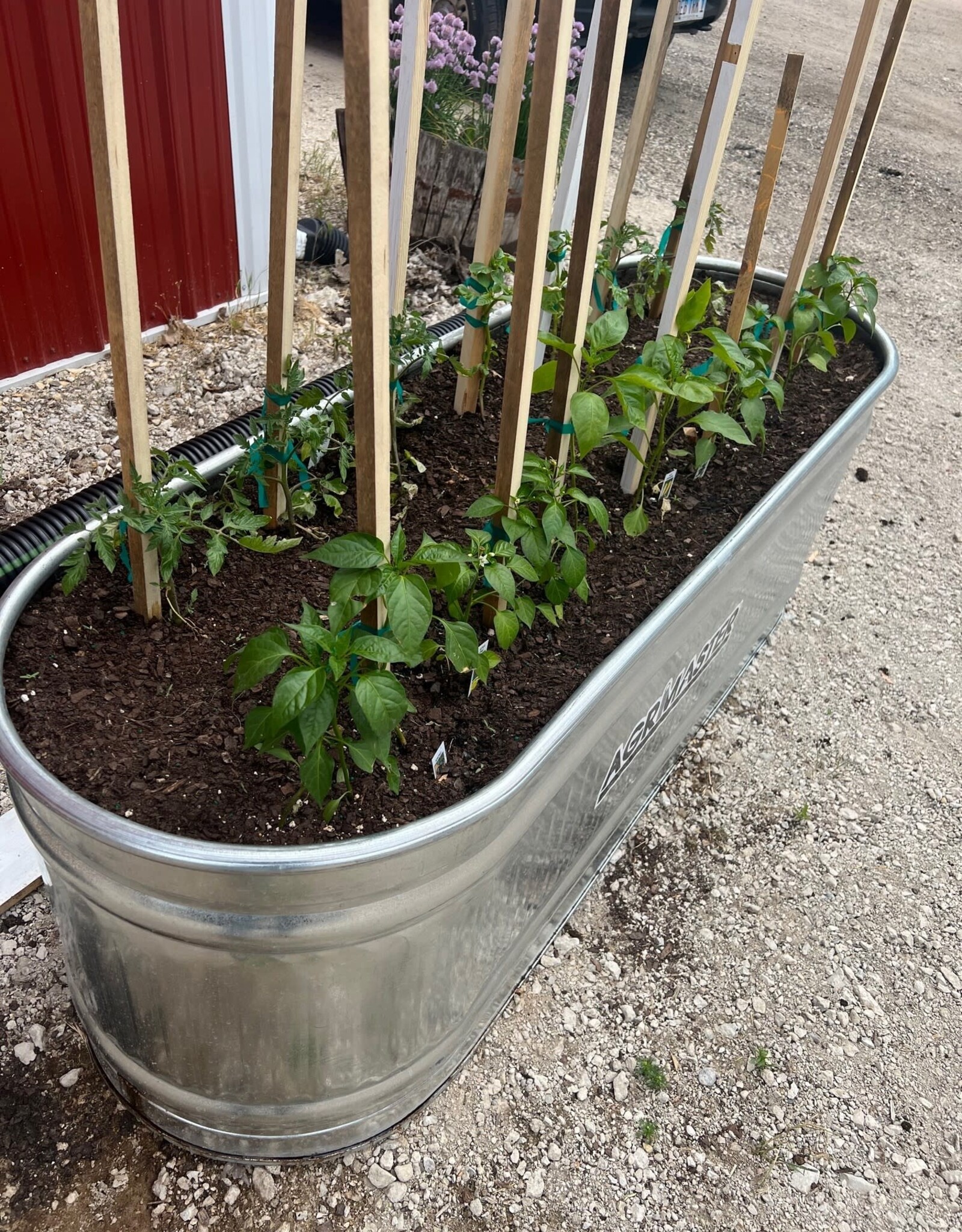 Raised Bed Mix BETA Beans Farm, Inc