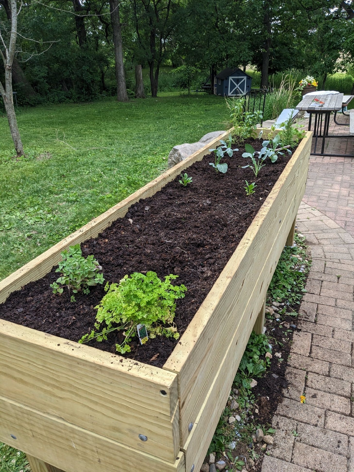 Raised Bed Mix BETA Beans Farm, Inc