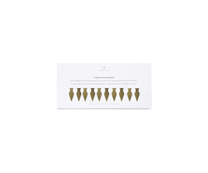 Appointed Brass Page Markers