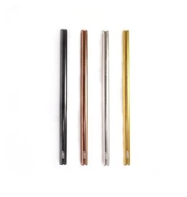 Paille inox STRAM avec brosse