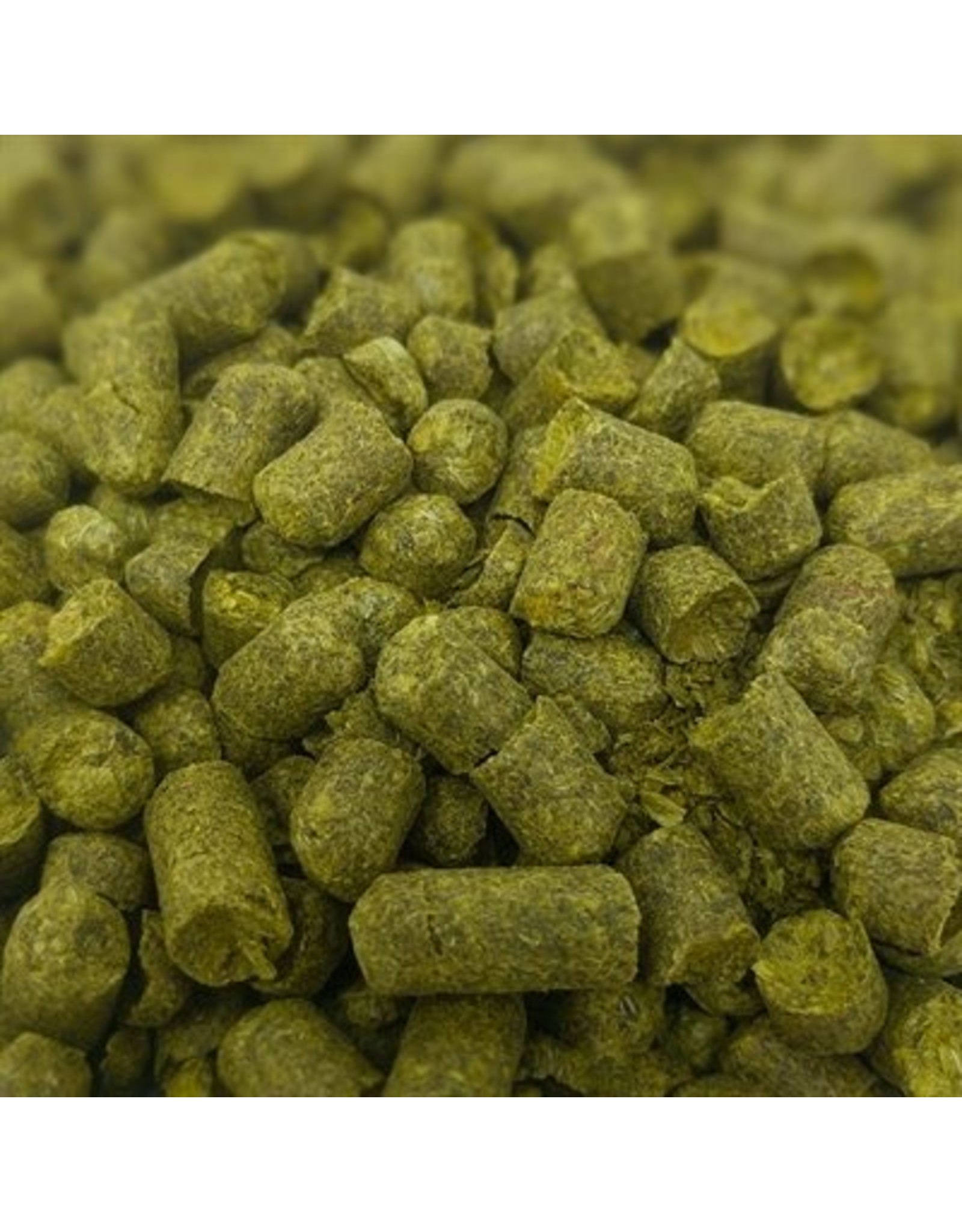 Houblon granules - Northern Brewer (28 grammes)