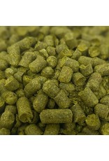 Houblon granules - Galaxy (28 grammes)