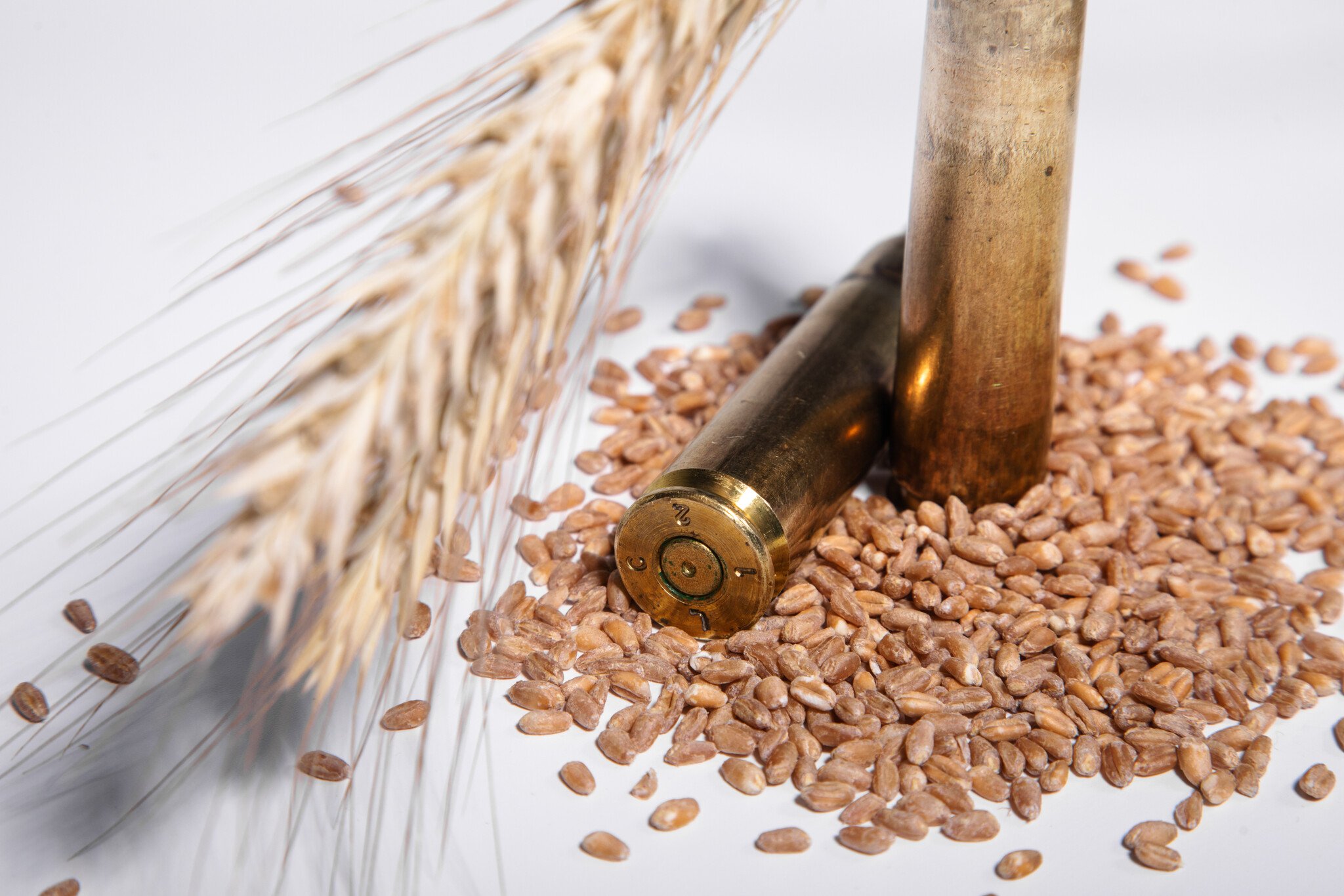 Bullet Grain Explained: What it Means & Why it Matters