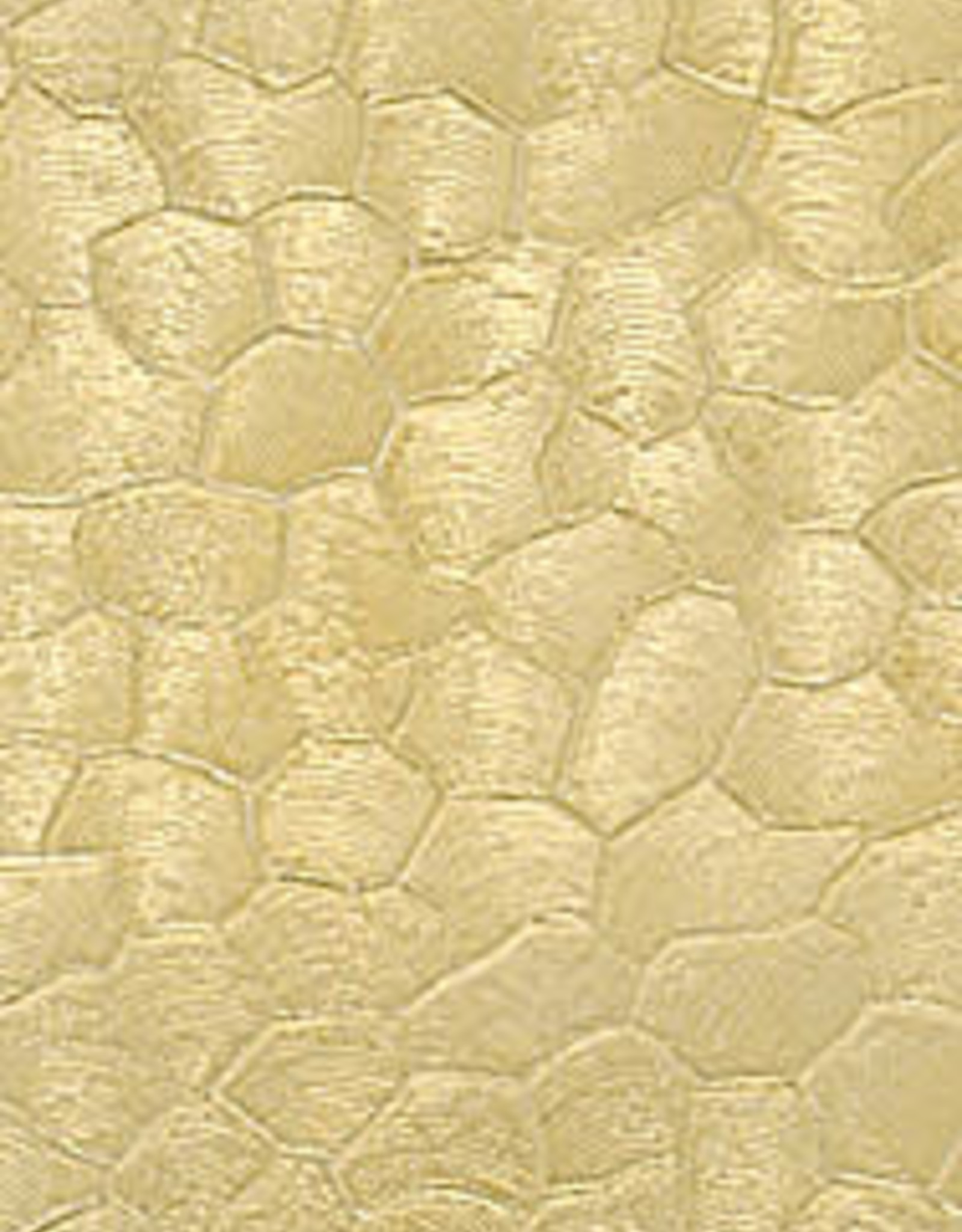 Metaliferrous Brass Texture Plate BR4311