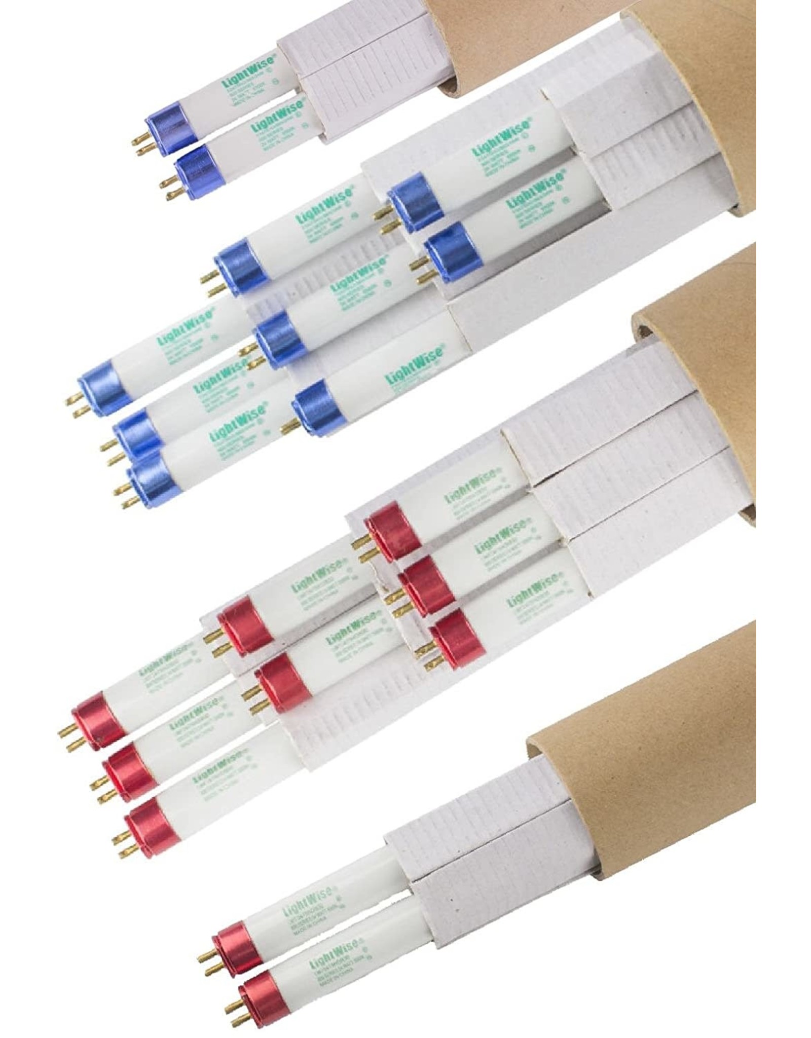 Lightwise Lightwise Lwf54t5hom 20case 4 Ft 3000k 6500k T5 Ho Fluorescent Grow Light Bulbs 20 Half Half Veg Bloom Abusa Buffalo