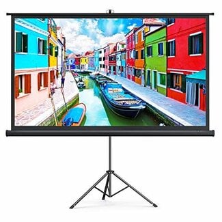 TaoTronics Indoor Outdoor Projector Screen with Stand, 4K HD 100 Inch 16:9 with Premium Wrinkle-Free Design (Easy to Clean, 1.1 Gain, 160degree Viewing Angle & Includes a Carry Bag) (Renewed)