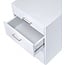 ACME Coleen White High Gloss File Cabinet