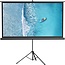 HYZ Projector Screen with Stand,100 inch Indoor Outdoor PVC Movie Projection Screen 4K HD 16: 9 Wrinkle-Free Design for Backyard Movie Night(Easy to Clean, 1.1Gain, 160Ã‚Â° Viewing Angle & A Carry Bag)