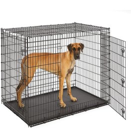 Midwest SL54DD Ginormus Double Door Dog Crate for XXL for the Largest Dogs Breeds, Great Dane, Mastiff, St. Bernard, Black