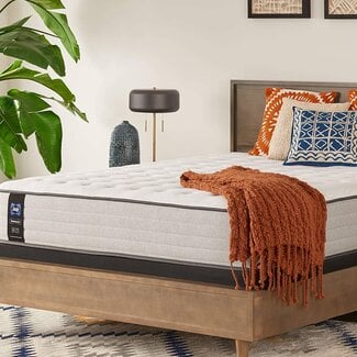 Spring Summer Rose Firm Feel Mattress and 9-Inch Foundation, Queen