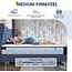 Avenco Queen Mattress, Medium Firm Hybrid Mattress Queen, 10in Queen Mattresses in a Box with Gel-infused Memory Foam and Pocketed Spring, Motion Isoaltion, Breathable Knit Fabric, Strong Edge Support