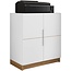 Caemmun Lider Design Modern Cube Low Cabinet with 4 Shelves and 2 Doors (White)