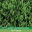 Scotts EZ Seed Patch and Repair Tall Fescue Lawns, 20 lb. - Combination Mulch, Seed, and Fertilizer - Tackifier Reduces Seed Wash-Away - Mix Covers up to 445 sq. ft.