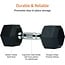 Amazon Basics Rubber Encased Exercise and Fitness Hex Dumbbell Hand Weight for Strength Training, 25-Pound