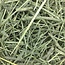 Oxbow Animal Health Western Timothy Hay - All Natural Hay for Rabbits, Guinea Pigs, Chinchillas, Hamsters & Gerbils - 50 lb. Bulk Size