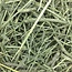 Oxbow Animal Health Western Timothy Hay - All Natural Hay for Rabbits, Guinea Pigs, Chinchillas, Hamsters & Gerbils - 50 lb. Bulk Size