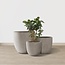 Kante 20'', 16.5'' & 13.3'' D Round Deathered Finish Concrete Modern Planters (Set of 3), Outdoor Indoor Decorative Plant Pots with Drainage Hole & Rubber Plug for Home & Garden, RC0152BCD-C80021-2