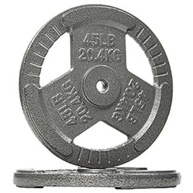 Powergainz Standard 1-Inch Cast Iron Plate Weight Plate for Strength Training, Weightlifting and Crossfit,Gray