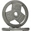 Powergainz Olympic 2-Inch Cast Iron Plate Weight Plate for Strength Training and Weightlifting, Gray POG-2INIP-45X2