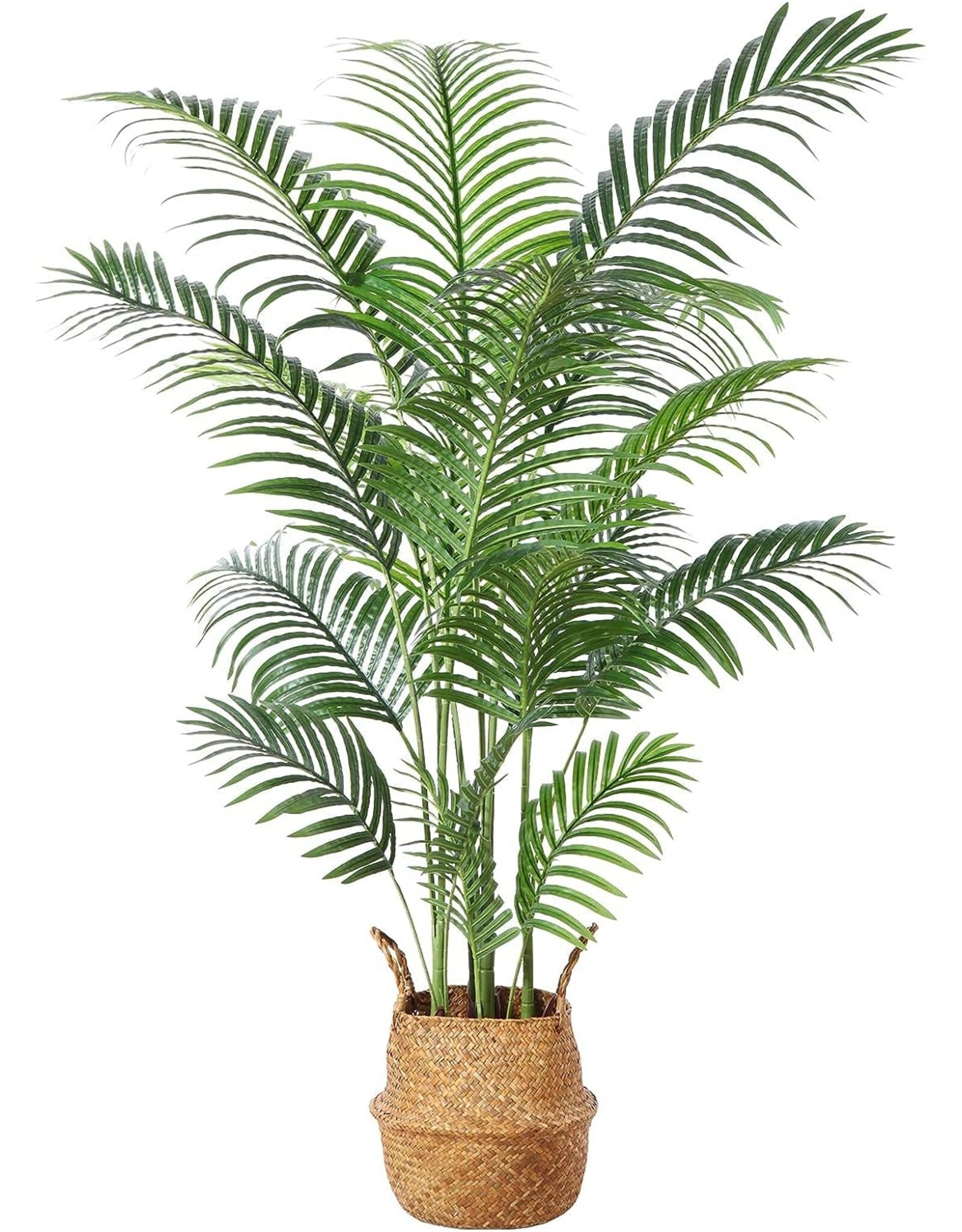 Faux Palm Tree | Shop Faux Plants Online - Leather Gallery