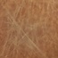 Amazon Brand - Rivet Alonzo Contemporary Leather Loveseat Sofa, 63.8"W, Cognac