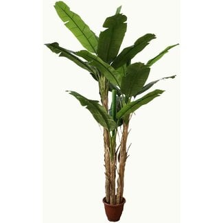 AMERIQUE Gorgeous 7 Feet Tropical Banana Artificial Tree with Split Leaves, with Nursery Pot, Real Touch Technology