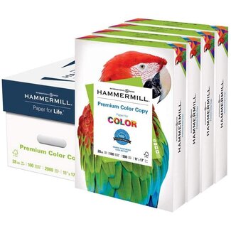 Hammermill Colored Paper, 20 lb Green Printer Paper, 8.5 x 11-10 Ream  (5,000 Sheets) - Made in the USA, Pastel Paper, 103366C - Amazing Bargains  USA - Buffalo, NY