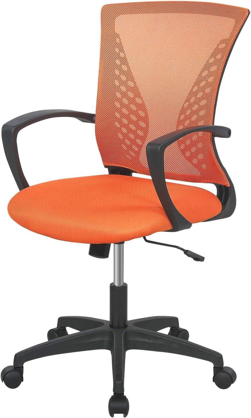 Eureka Ergonomic office chair with adjustable dual lumbar support,  headrest, armrests